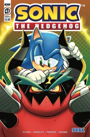 SONIC THE HEDGEHOG #43 CVR A ROTHLISBERGER cover image