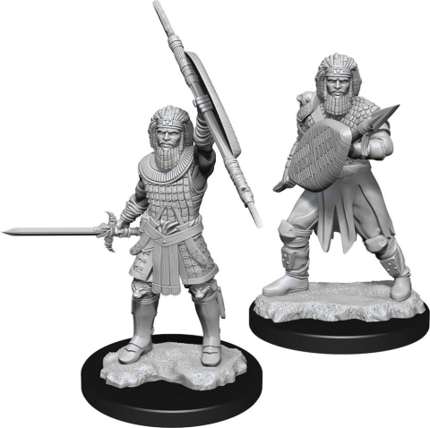 Dungeons & Dragons: Nolzur's Marvelous Miniatures - Human Fighter (Male) cover image