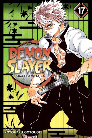 Demon Slayer: Kimetsu no Yaiba Vol. 17 cover image