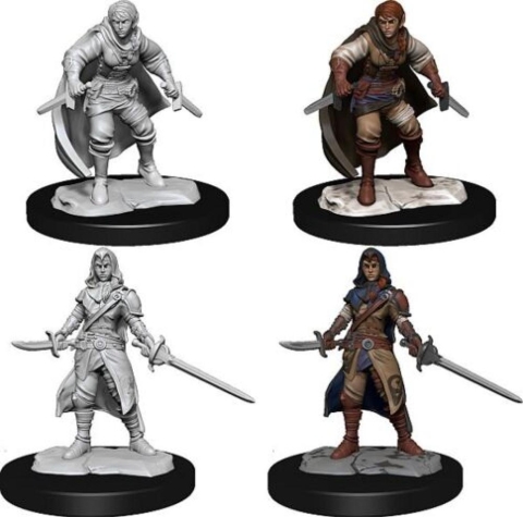 Dungeons & Dragons: Nolzur's Marvelous Miniatures - Half-Elf Rogue (Female) cover image