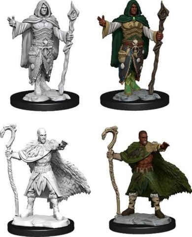 Dungeons & Dragons: Nolzur's Marvelous Miniatures - Human Druid (Male) cover image