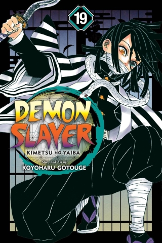 Demon Slayer: Kimetsu no Yaiba Vol. 19 cover image