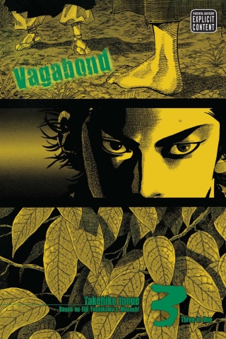 Vagabond (VIZBIG Edition) Vol. 3 cover image