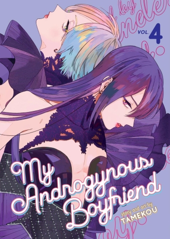 My Androgynous Boyfriend Vol. 4 cover image