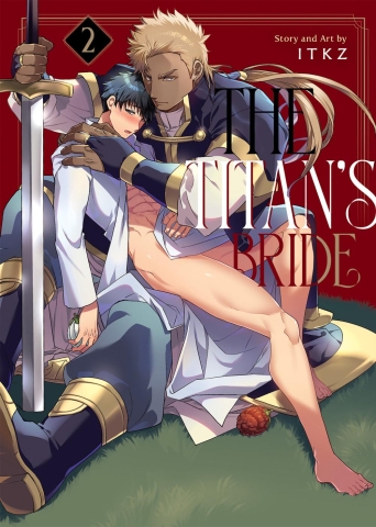 THE TITANS BRIDE VOL 2 cover image