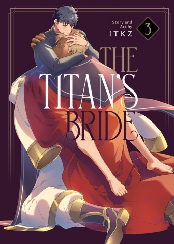 THE TITANS BRIDE VOL 3 cover image