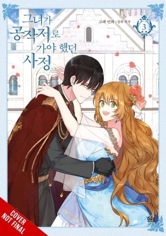 WHY RAELIANA ENDED AT DUKES MANSION GN VOL 03 cover image