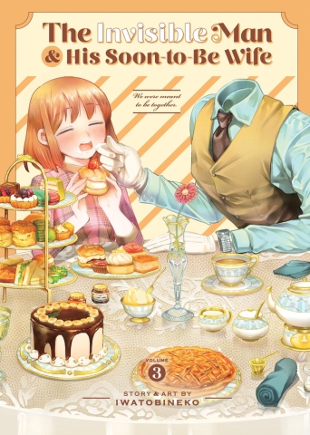 INVISIBLE MAN AND HIS SOON-TO-BE WIFE TP VOL 03 cover image