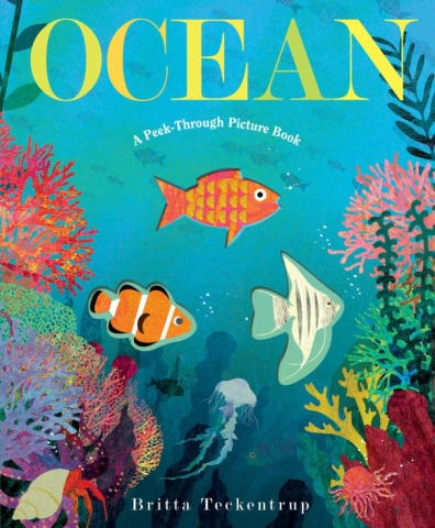 Ocean: A Peek-Through Picture Book cover image