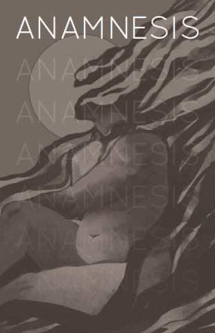 Anamnesis cover image
