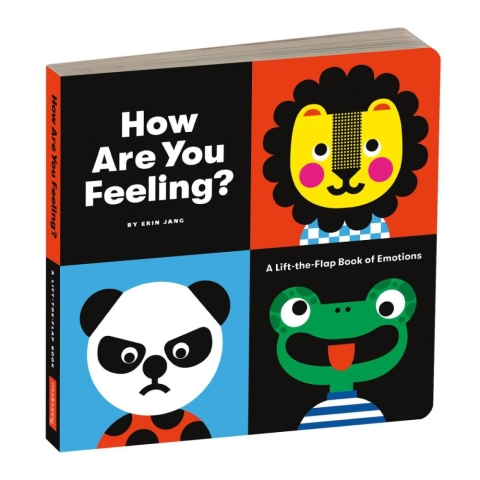 How Are You Feeling Board Book cover image