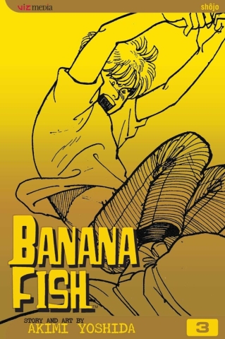 Banana Fish Vol. 3 cover image