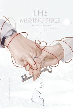 The Missing Piece cover image