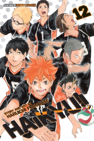 Haikyu!! Vol. 12 cover image