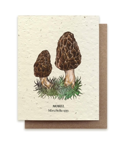 Small Victories - Morel Mushroom Plantable Wildflower Seed Card cover image