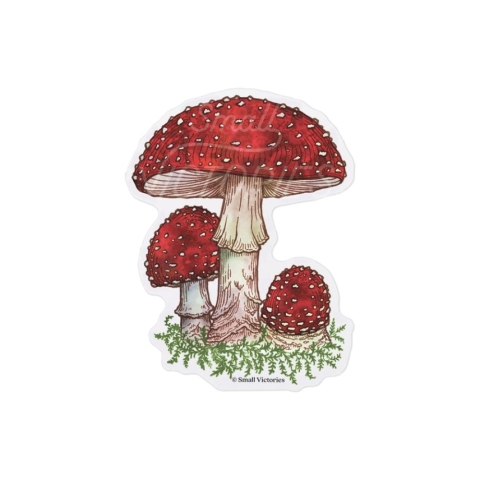 Small Victories - Eco-Sticker: Fly Agaric Mushroom cover image