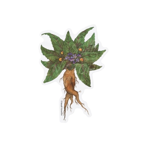Small Victories - Eco-Sticker: Mandrake cover image