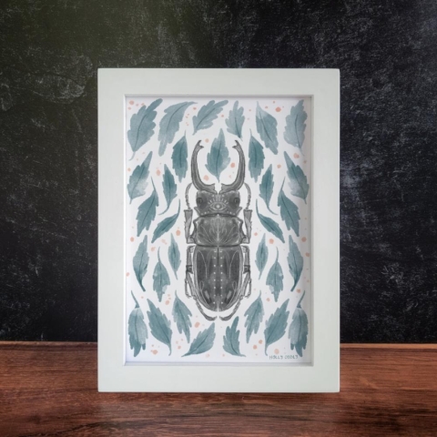 Holly Oddly Art Print 5x7: Stag Beetle cover image