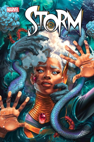 STORM #2 CVR A cover image