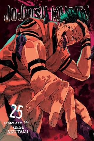 Jujutsu Kaisen Vol. 25 cover image