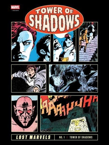 Lost Marvels No. 1: Tower of Shadows cover image
