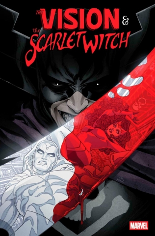THE VISION AND THE SCARLET WITCH #2 cover image