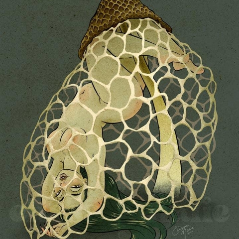 Elissa Marie Creative Art Print 8x10: Veiled Lady Mushroom Pinup cover image