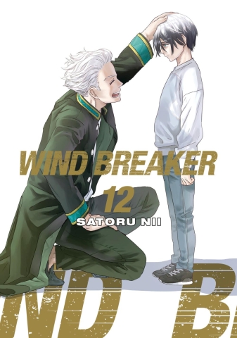 Wind Breaker Vol. 12 cover image