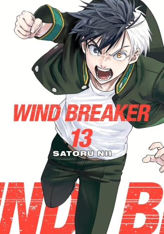Wind Breaker Vol. 13 cover image