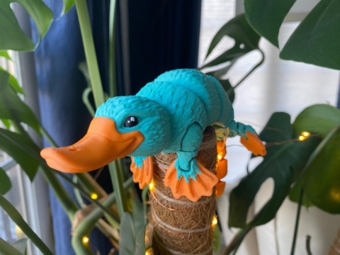 Plasonite Flexi-Animals: Platypus cover image
