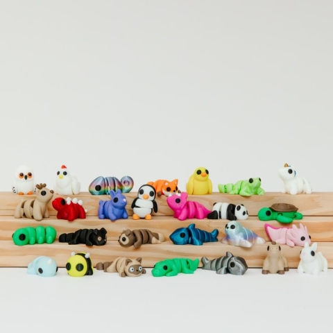 Ruby's Dragons: Tiny Fidget cover image