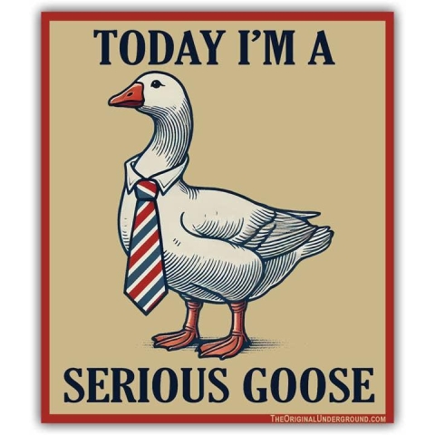 Shady Front Sticker: Today I'm a Serious Goose cover image
