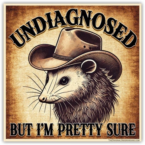 Shady Front Sticker: Undiagnosed but I'm Pretty Sure cover image