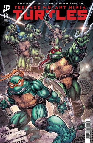 TEENAGE MUTANT NINJA TURTLES #13 cover image