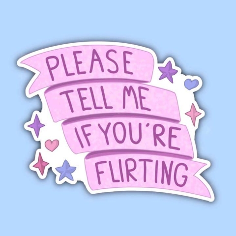 Noellita Bonita Sticker: Please Tell Me If You're Flirting cover image