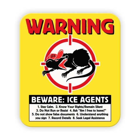 Harebrained! Sticker: STFU About Chicago (WARNINGICE) cover image