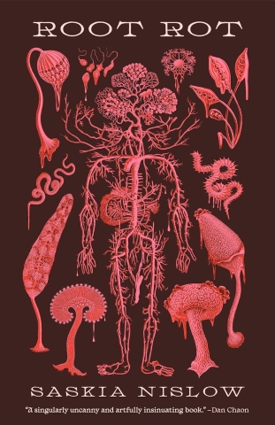 Root Rot cover image