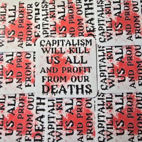 Femmearchist Sticker: Capitalism Will Kill Us All and Profit from our Deaths cover image