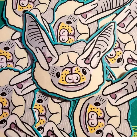 Femmearchist Sticker: Pallid Albino Bat cover image