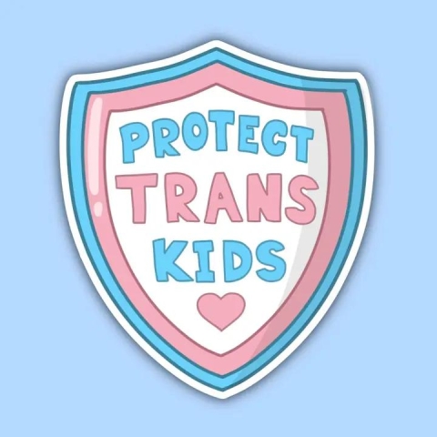 Noellita Bonita Sticker: Protect Trans Kids cover image