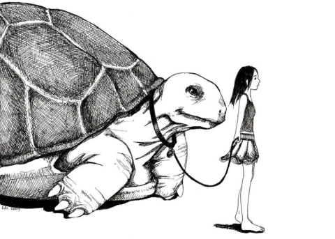 Stupid Animal Shop Art Print 5x7: Tortoise Walk cover image