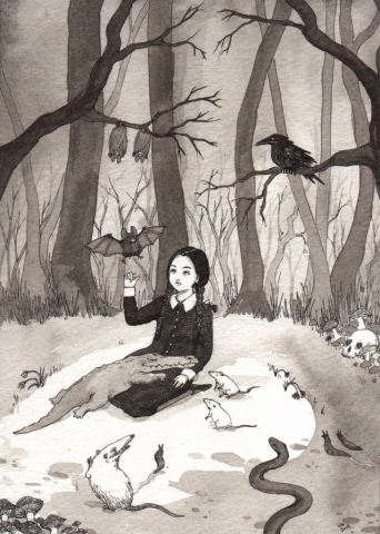 Stupid Animal Shop Art Print 5x7: Wednesday's Menagerie cover image