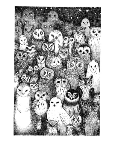 Stupid Animal Shop Art Print 8x10: The Owls Are Not What They Seem cover image