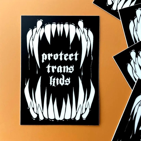 Flags For Good Sticker: Protect Trans Kids cover image