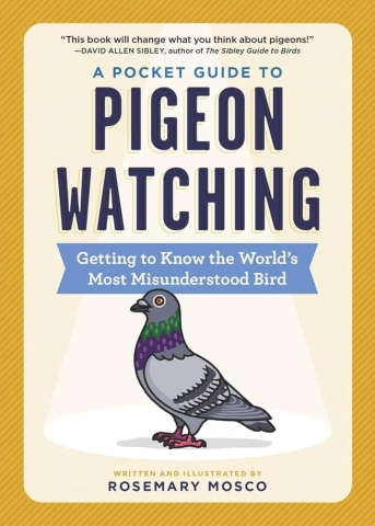 A Pocket Guide to Pigeon Watching: Getting to Know the World's Most Misunderstood Bird cover image