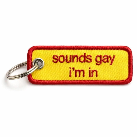 Unexpected Flair Embroidered Keychain: Sounds Gay I'm In cover image