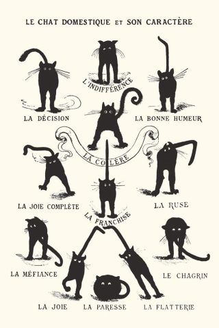 Le Chat Domestique poster (24x36) cover image