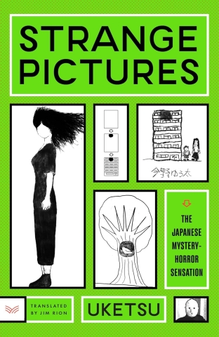 Strange Book 2: Strange Pictures (HC) cover image