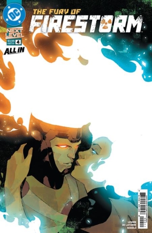 FURY OF FIRESTORM #4 (of 8) cover image
