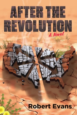 After the Revolution: A Novel cover image